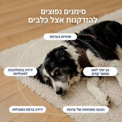 אריכות ימים והזדקנות בריאה