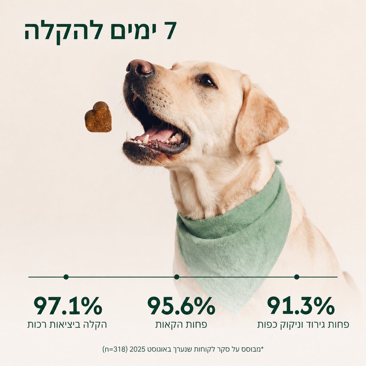 תוסף תזונה לכלבים עם עור רגיש וגירודים