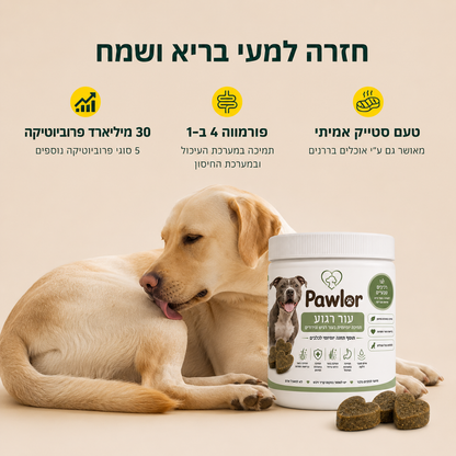 תוסף תזונה לכלבים עם עור רגיש וגירודים