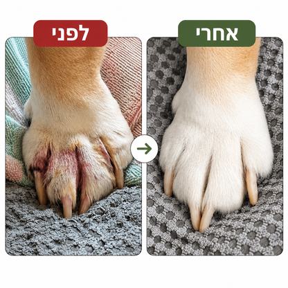 תוסף תזונה לכלבים עם עור רגיש וגירודים