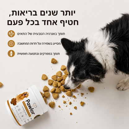 תוסף לתמיכה באריכות ימים והזדקנות בריאה