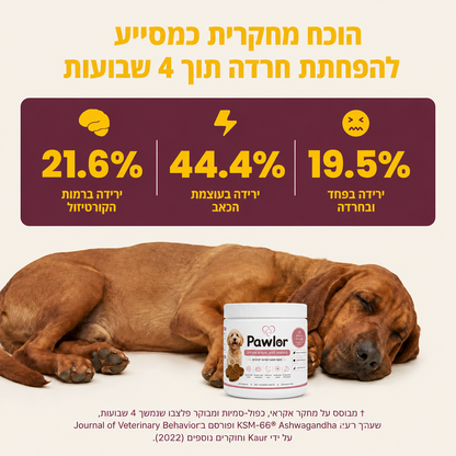 תוסף להרגעה, שחרור מתחים, והפחתת חרדה