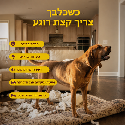 תוסף להרגעה, שחרור מתחים, והפחתת חרדה