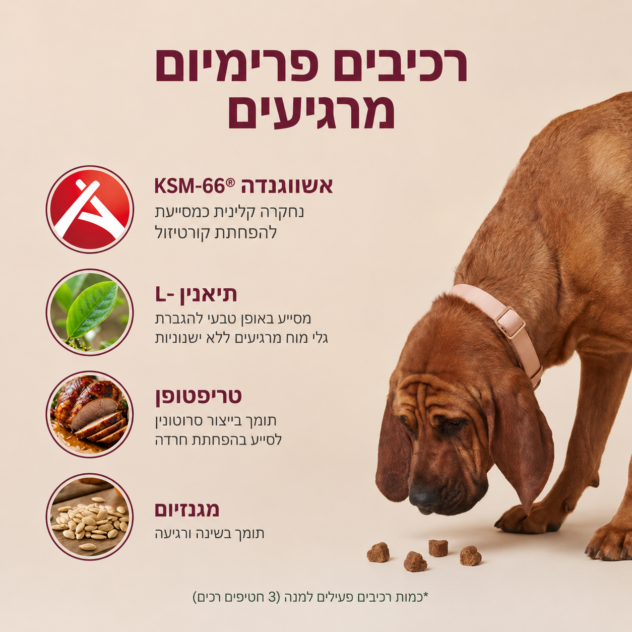 תוסף להרגעה, שחרור מתחים, והפחתת חרדה