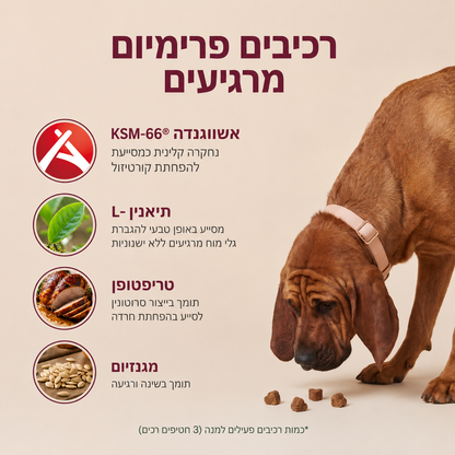 תוסף להרגעה, שחרור מתחים, והפחתת חרדה